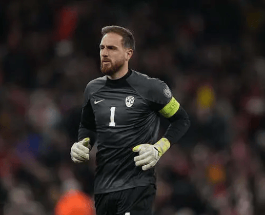 荷兰淘汰斯洛文尼亚，成功晋级欧预赛四分之一决赛的简单介绍